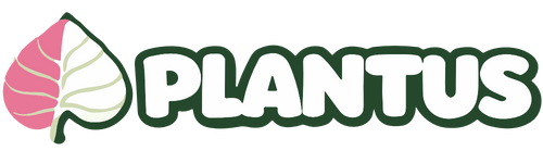 Plantus